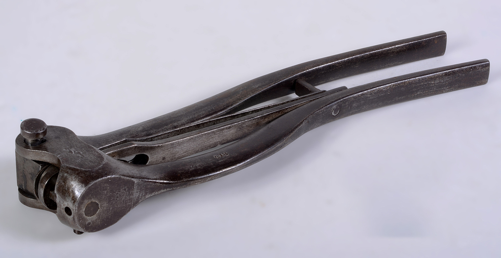 Verzegeltang, 1800-1899
